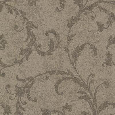 Brewster Wallcovering Milton Brown Shimmer Scroll Brown