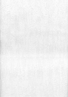 Brewster Wallcovering Quercus White Oak Bark Paintable Paintable