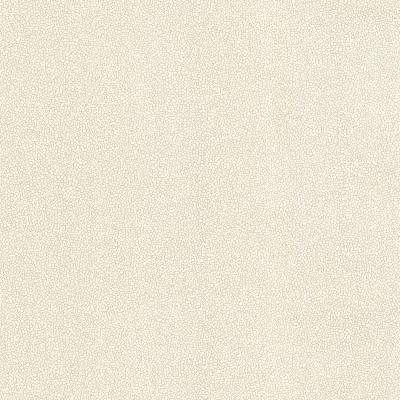 Brewster Wallcovering Spore Taupe Bubble Texture Taupe