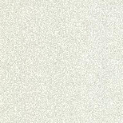 Brewster Wallcovering Spore Light Green Bubble Texture Light Green