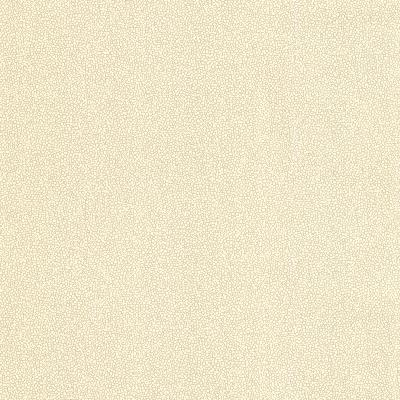 Brewster Wallcovering Spore Beige Bubble Texture Beige