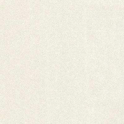 Brewster Wallcovering Spore Neutral Bubble Texture Neutral