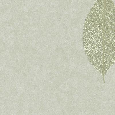 Brewster Wallcovering Malabar Sage Leaf Sage