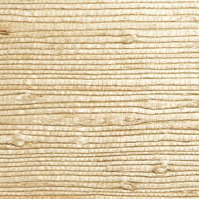 Brewster Wallcovering Bing Qing Beige  Grasscloth Beige 