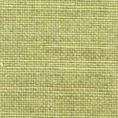 Brewster Wallcovering Miyo Green Grasscloth Green