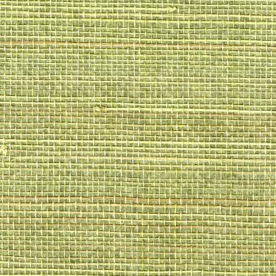 Brewster Wallcovering Miyo Green Grasscloth Green
