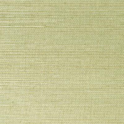 Brewster Wallcovering Narumi Light Green Grasscloth Light Green