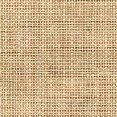 Brewster Wallcovering Xia Beige Grasscloth Beige