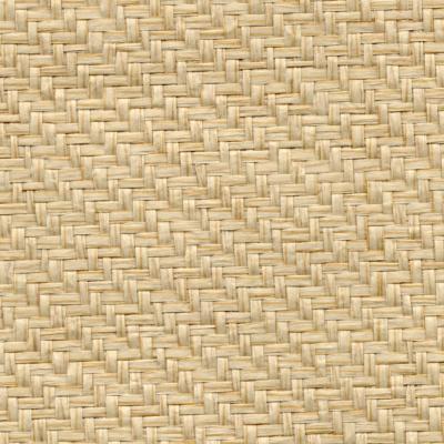 Brewster Wallcovering Tao Beige Grasscloth Beige