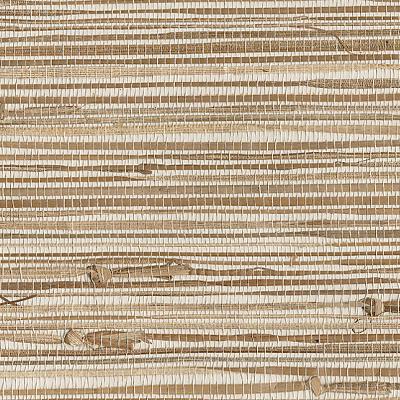 Brewster Wallcovering Ting Taupe Grasscloth Taupe
