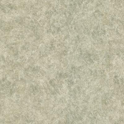 Mirage Raso Taupe Texture Taupe