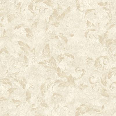 Brewster Wallcovering Edith Brown Acanthus Brushstroke Wallpaper Off-White