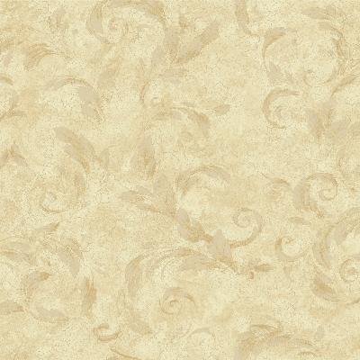 Brewster Wallcovering Edith Gold Acanthus Brushstroke Wallpaper Yellow