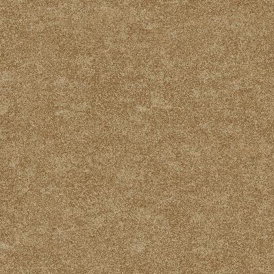 Brewster Wallcovering Redding Brown Acanthus Texture Wallpaper Gold