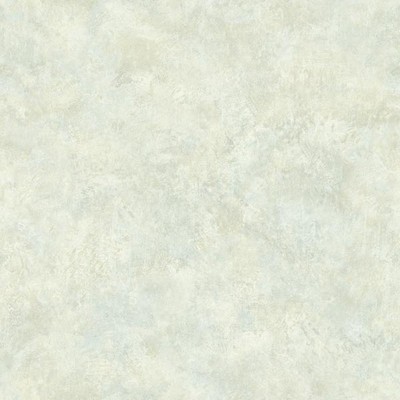 Warner Kassey Mint Distressed Texture Mint