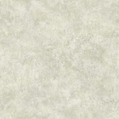 Warner Kassey Grey Distressed Texture Grey