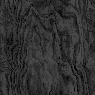 Brewster Wallcovering Black Sloane Wood Peel & Stick Wallpaper Blacks