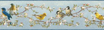 Brewster Wallcovering Daphne Blue Songbird Trail Border Blue