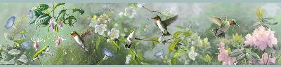 Brewster Wallcovering Ruby Green Hummingbird Garden Border Green