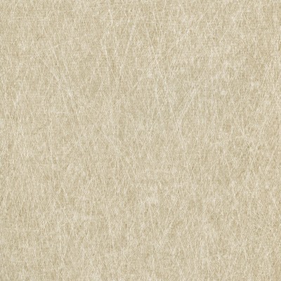 Warner Neutrals Laval Neutral