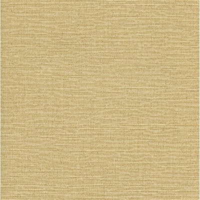 Warner Yellow Savannah Yellow