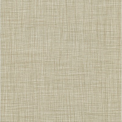 Warner Cream Cadenza Cream