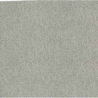 Warner Silver Poplin Silver