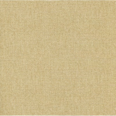 Warner Yellow Poplin Yellow