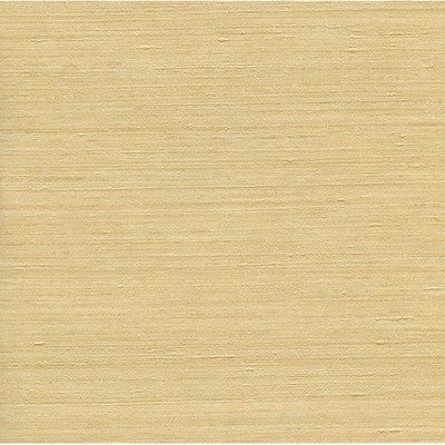 Warner Yellow Rememberance Yellow