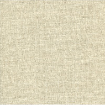 Warner Beige Canvas Beige