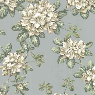 Warner Bree Sky Lily Trail Sky