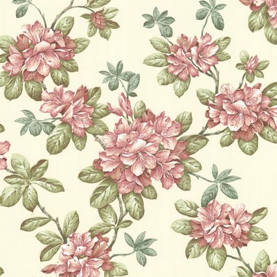 Warner Bree Rose Lily Trail Rose