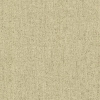 Warner Mannix Beige Canvas Texture Beige