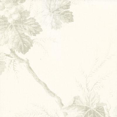 Brewster Wallcovering Napa Valley Ghost Grape Toile Wallpaper White