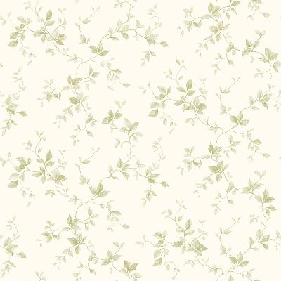 Brewster Wallcovering Neutral Leaf Ivy Toile Neutral