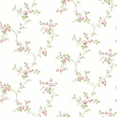 Brewster Wallcovering Neutrals Country Rose Vine Neutral