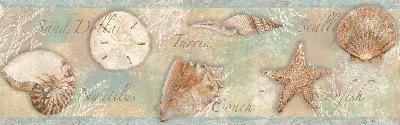 Brewster Wallcovering Brown Sea Shells  Border Brown