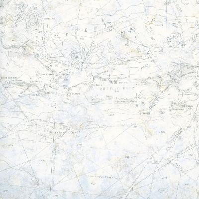 Brewster Wallcovering Canaveral Blue Charts Blue