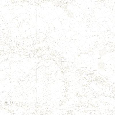 Brewster Wallcovering Canaveral Beige Charts Beige