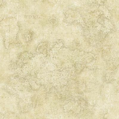 Brewster Wallcovering Hardings Beige World Map Beige