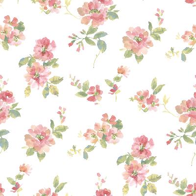 Brewster Wallcovering Captiva Peach Watercolor Floral Peach