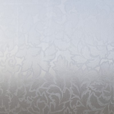 Brewster Wallcovering Toulon Self Adhesive Window Film Transparent