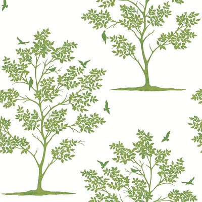 Brewster Wallcovering Woodland Green Trees & Birds Wallpaper Green