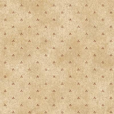 Brewster Wallcovering Neutrals Paw Print  Neutral