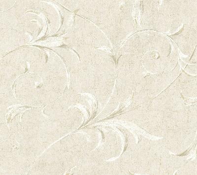 Brewster Wallcovering Grey Ogee Acanthus Scroll Grey