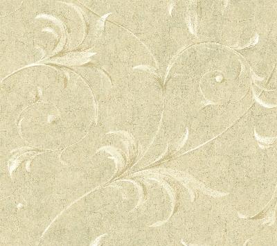 Brewster Wallcovering Cream Ogee Acanthus Scroll Cream