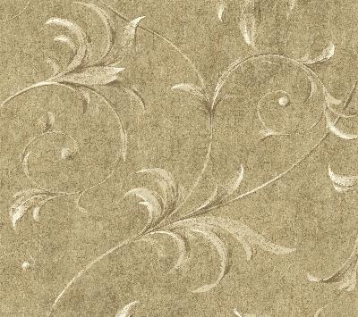 Brewster Wallcovering Taupe Ogee Acanthus Scroll Taupe