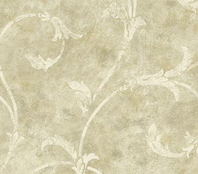 Brewster Wallcovering Bronze Silver Scroll  Bronze