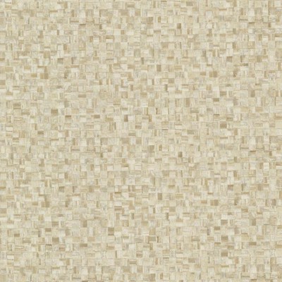 Warner Sanaa Beige Paperweave Texture Beige