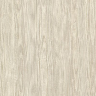 Warner Tanice Beige Faux Wood Texture Beige